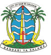 Dar es Salaam City Council